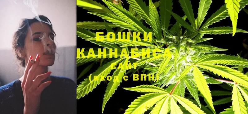 Конопля SATIVA & INDICA  Льгов 